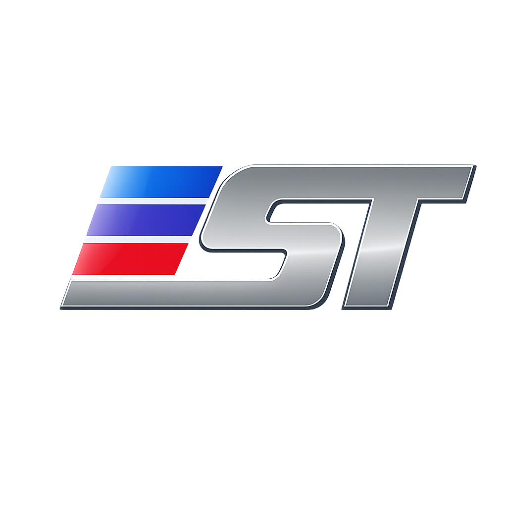 stigeorgia.com